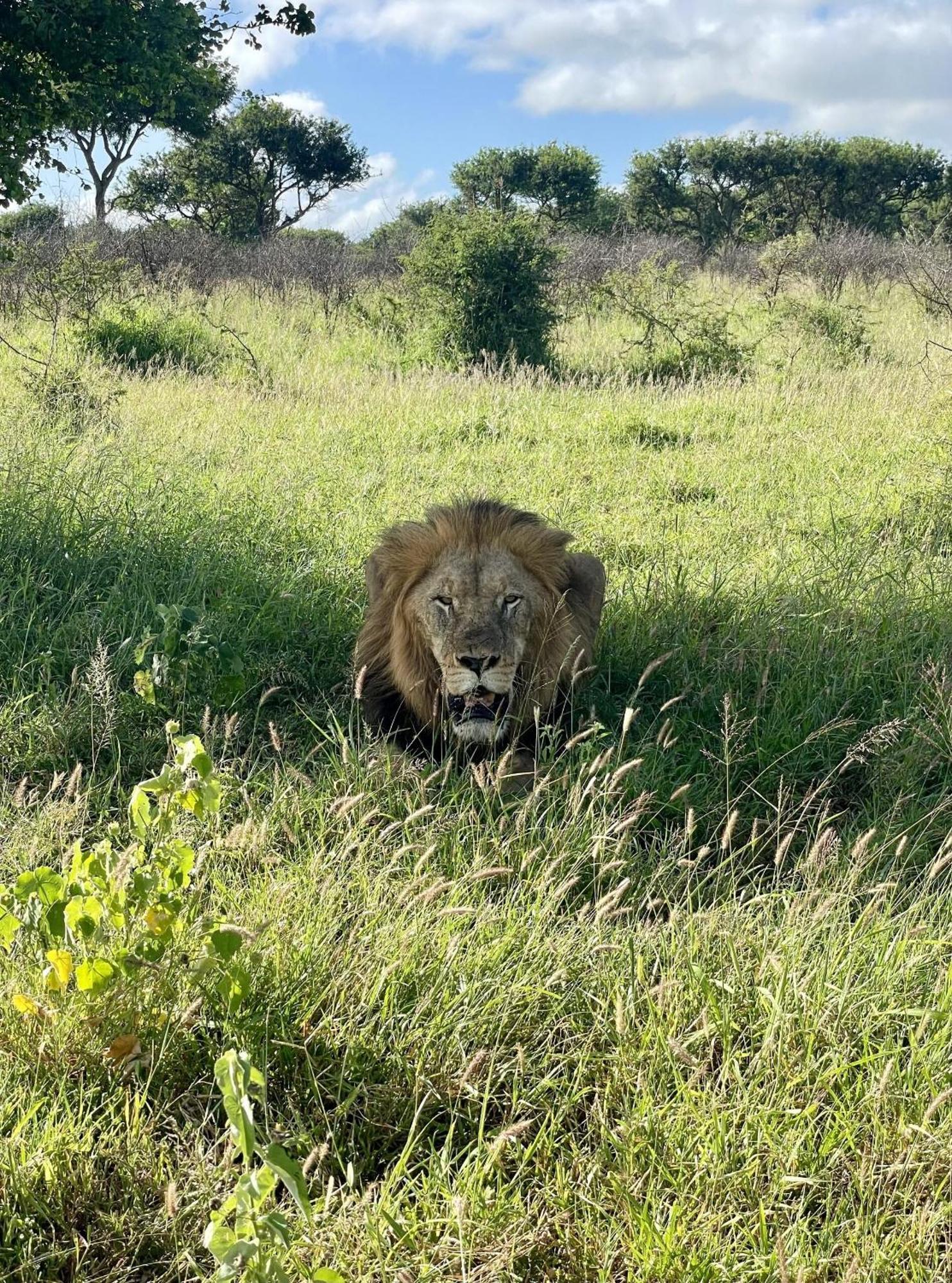 Rhino River Lodge Manyoni Private Game Reserve Exterior foto